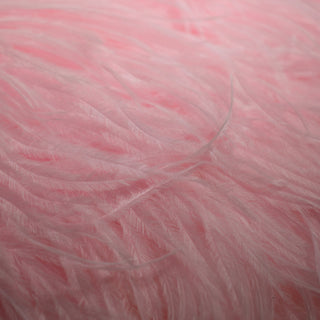 Premium Ostrich Feathers | 50-60cm - Fanatic | Burlesque